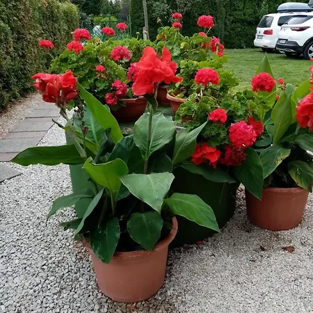 Mit Pool, Wlan Direkt Am 60qm Апартаменты Балатонмариафюрдё