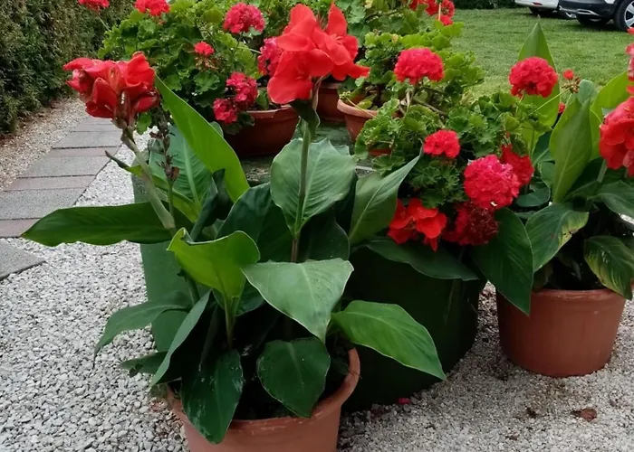 Mit Pool, Wlan Direkt Am 60qm شقة Balatonmáriafürdő